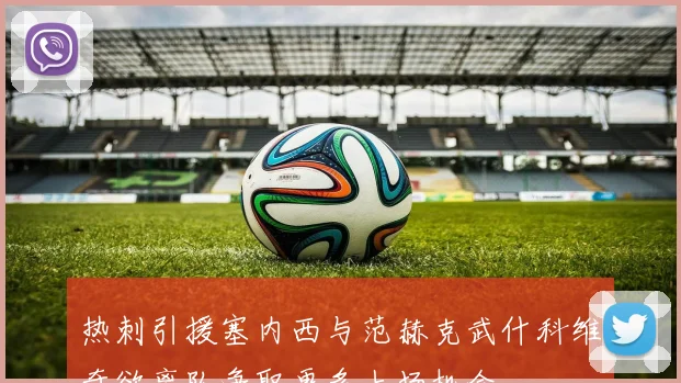 热刺引援塞内西与范赫克武什科维奇欲离队争取更多上场机会
