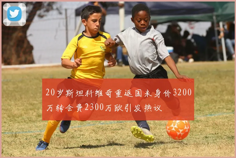20岁斯坦科维奇重返国米身价3200万转会费2300万欧引发热议
